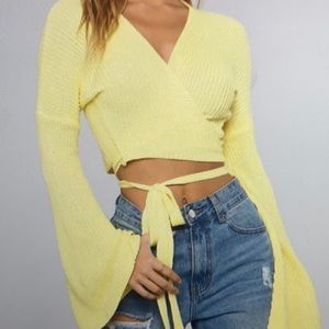 Just like that cropped sweater (yellow)